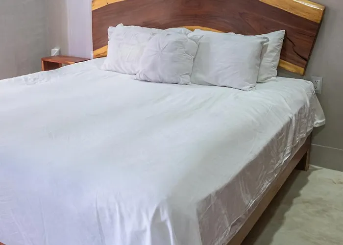 Jungle Ph Private Rooftop & Plunge Pool Ac Wifi * Tulum