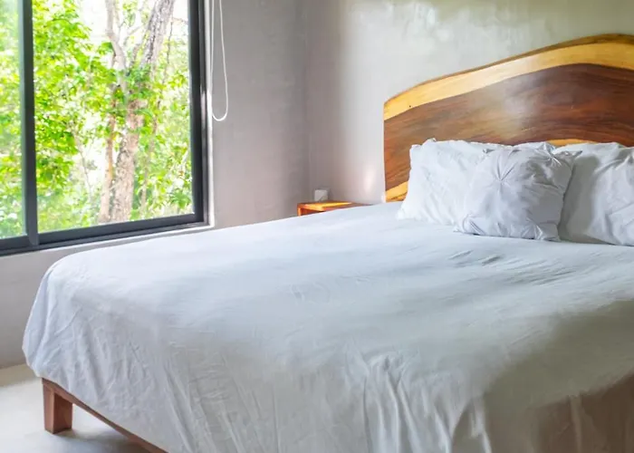 Apartamento Jungle Ph Private Rooftop & Plunge Pool Ac Wifi Tulum